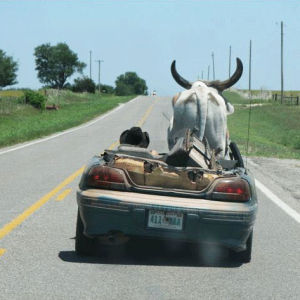 Jugaad