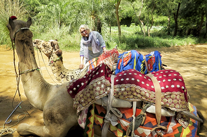 Camels