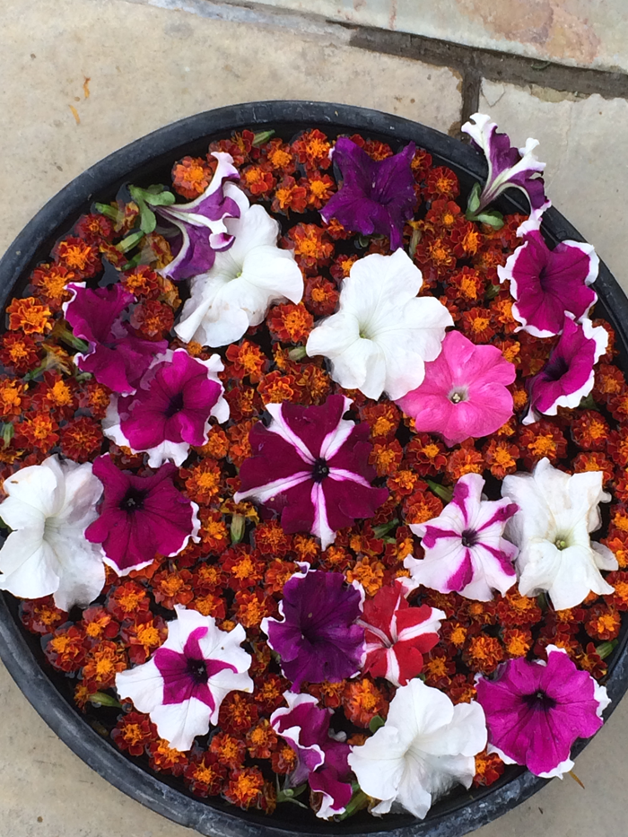 Bowl of flowers