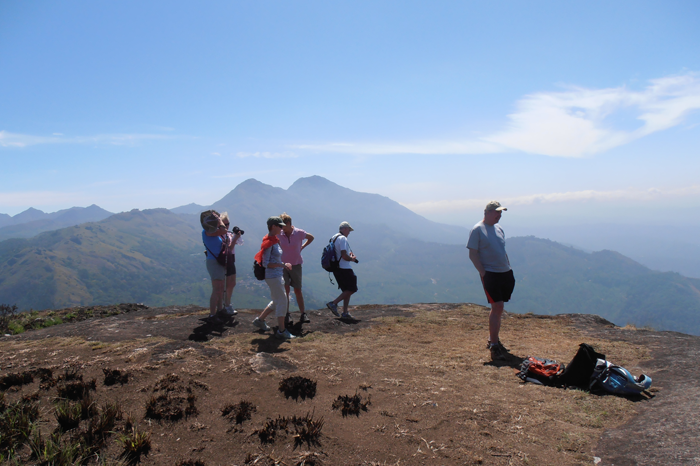 Group Tours