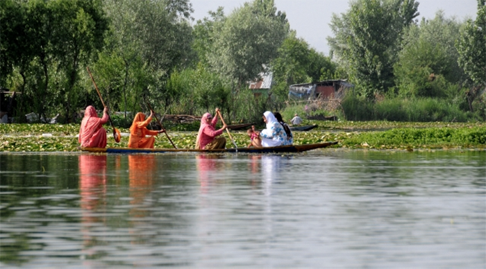 Kashmir