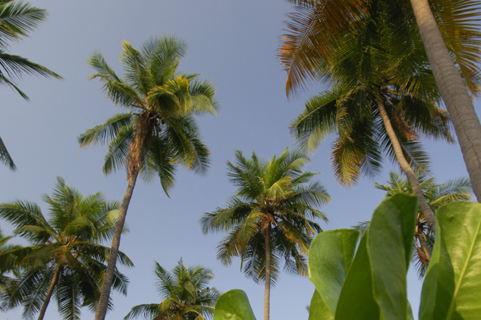 Mumbai, Goa & Gujerat
